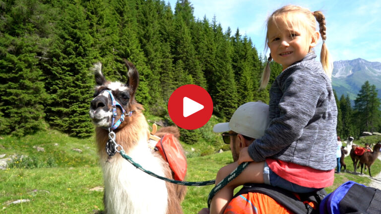 Lamawanderung durchs Hinterpasseier