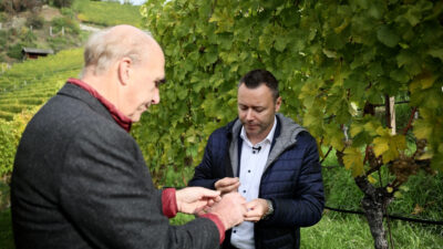 Valle Isarco Winery