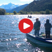 Fischen rund um den Haidersee