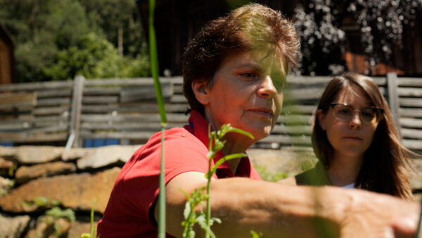 From the Farmers in the Val d'Ega