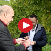 WineWays: Cantina Valle Isarco