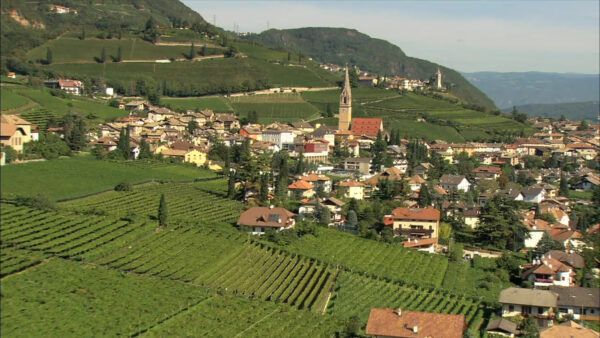 Tramin