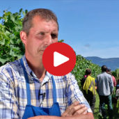 On WineSafari in South Tyrol
