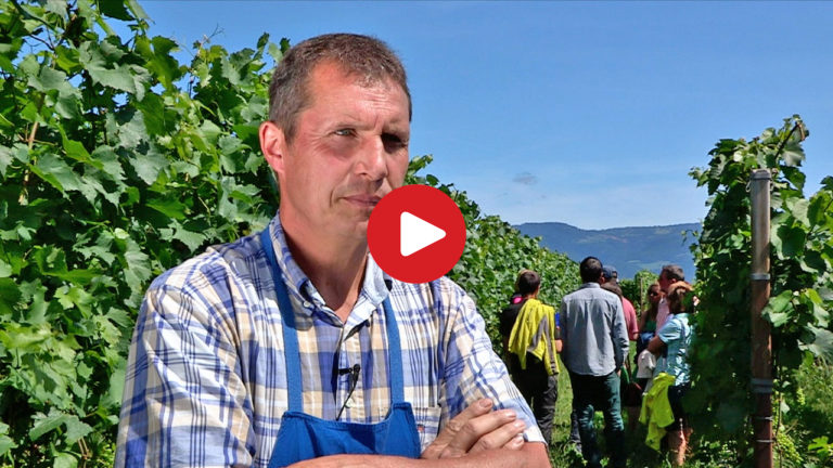 On WineSafari in South Tyrol