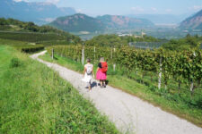 The Pinot Nero Trail