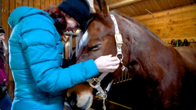 Winter horse riding in Nova Levante