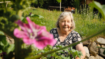 Herbs in the Valle Aurina Valley