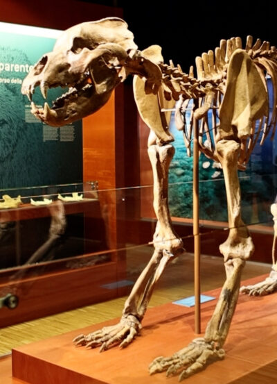 Museen
