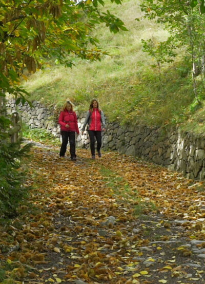 Wandern
