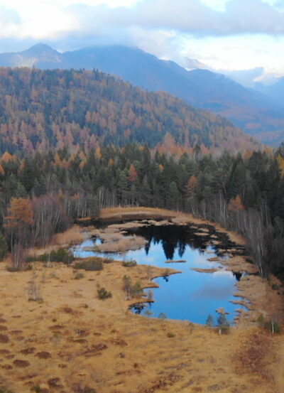 Nature parks