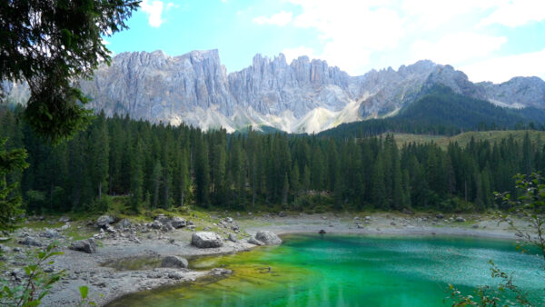 Passo Costalunga / Carezza