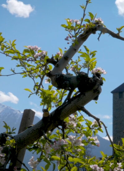 Naturschauplatz