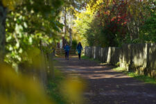 Along the Freud Promenade in Autumn