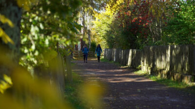 Along the Freud Promenade in Autumn