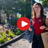 My day in Merano