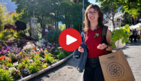 Video: My day in Merano