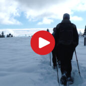 Snowshoeing on the Monte Popi