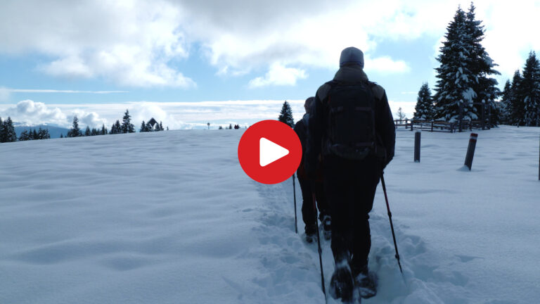 Snowshoeing on the Monte Popi