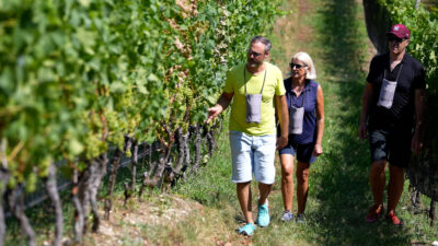 Cortaccia Winery
