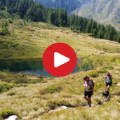Auf dem Jägersteig zur Wanser Alm