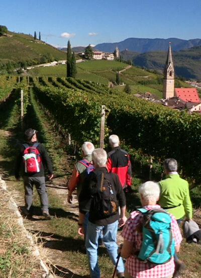 Alto Adige Wine Road
