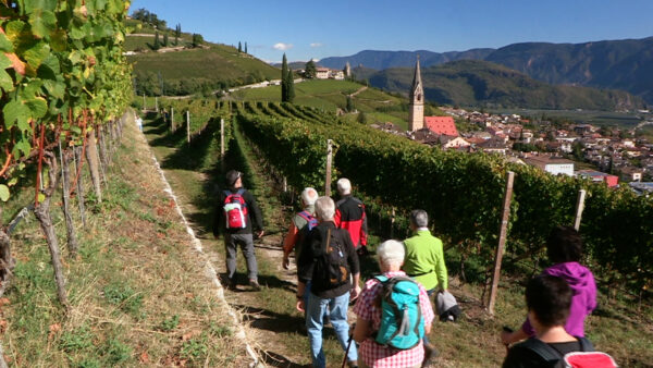 Strada del Vino dell'Alto Adige