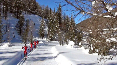 Winter sports in South Tyrol