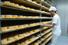 I formaggi della Valle Aurina