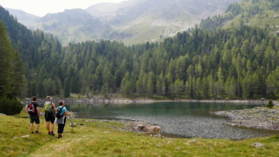Ai Laghi Gelati di Scàleres