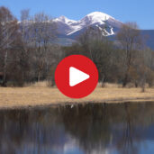 The Raier Moos Nature Trail