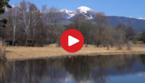 Video: The Raier Moos Nature Trail