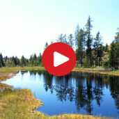 Energizing Places: The Schwarzsee
