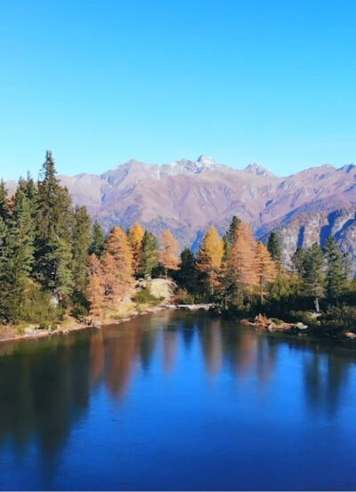 Berge