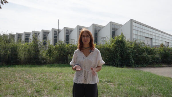 Series