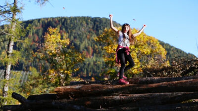 South Tyrolean chestnut trail