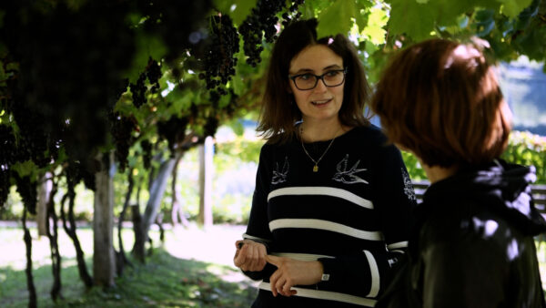 South Tyrolean Wine Museum