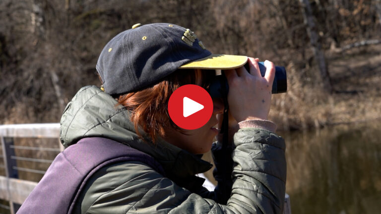 Naturlehrpfad Raier Moos