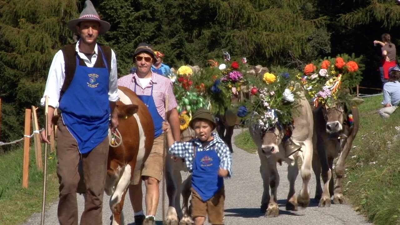 Transhumance in South Tyrol - Peer.tv