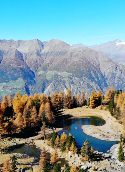 Vinschgau