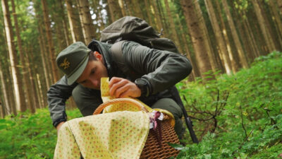 Gathering mushrooms the right way