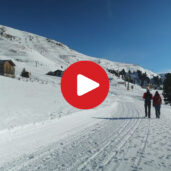 Hiking Tip: Malghe di Obereggen