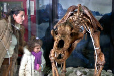 Museum Dolomythos in Innichen