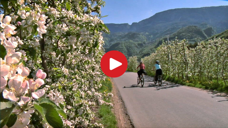 Con l'e-bike tra i meleti in fiore
