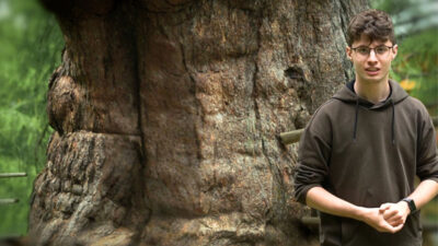 Larici Secolari della Val d’Ultimo