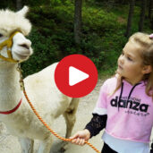 Trekking with Lamas Hinterwalderhof