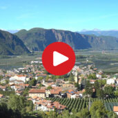 Alla scoperta di Ora