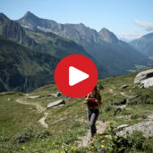 Wandertipp: Zum Pfitscherjoch-Haus