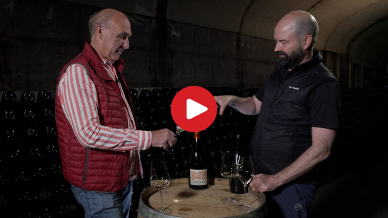 WineWays: Sektkellerei Arunda