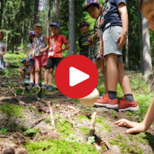 Il bosco è un vero parco giochi