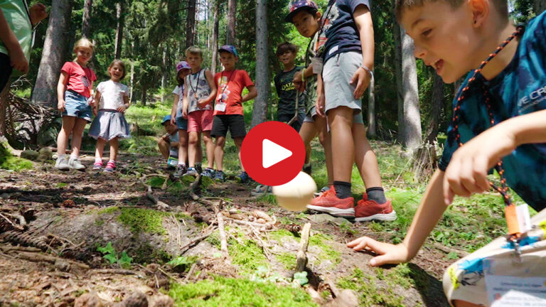 Il bosco è un vero parco giochi